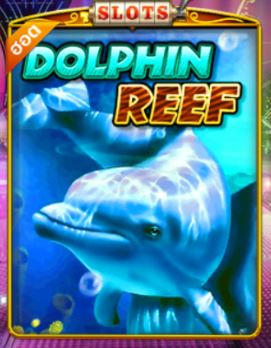Puss888 เกมสล็อต Dolphin Reef 2022 : เว็บทดลองเล่นสล็อต Free